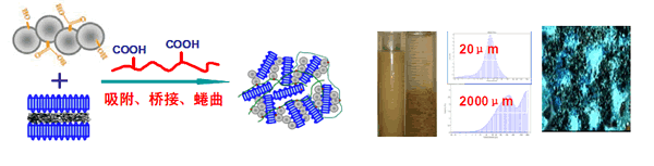 聚合氯化铝絮凝原理 聚合氯化铝絮凝原理